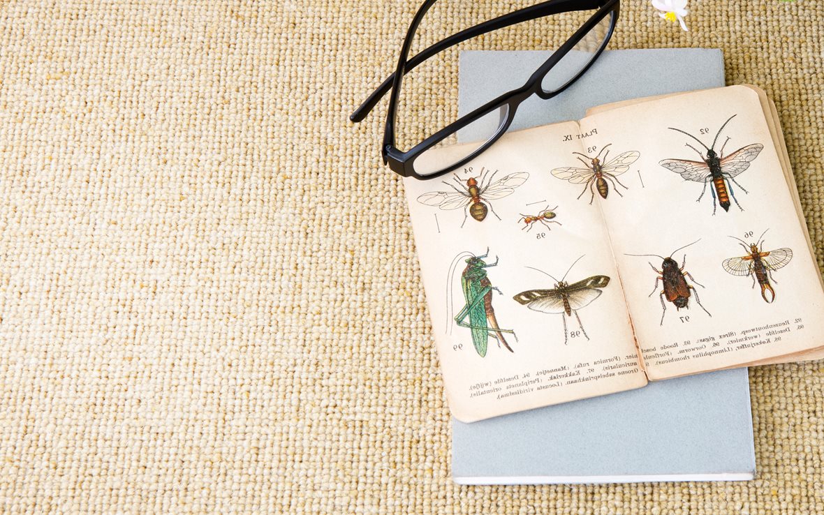 Valloittavat villamatot