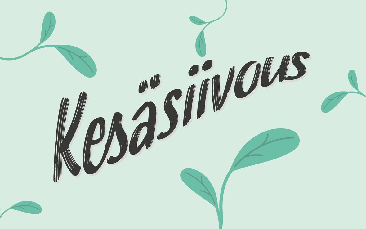 Tuotekategorian Kesäsiivous havainnekuva