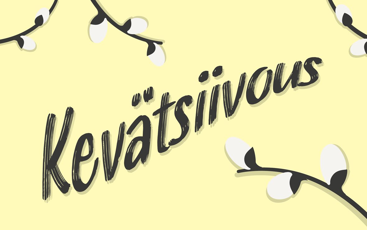 Tuotekategorian Kevätsiivous havainnekuva