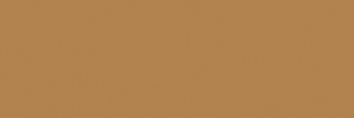 LPC P21 lasitettu klinkkeri seinälaatta lattialaatta ulkolaatta 9,7X29,7 Uni Caril PP707 tasapintainen matta keskitumma ruskea yksivärinen