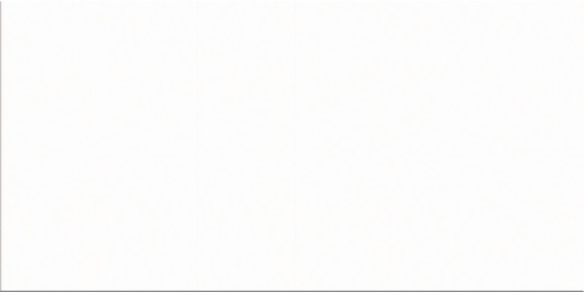 Pukkila Color lasitettu porcelanato seinälaatta lattialaatta ulkolaatta 29,7X59,7 White 5500 tasapintainen matta vaalea valkoinen yksivärinen