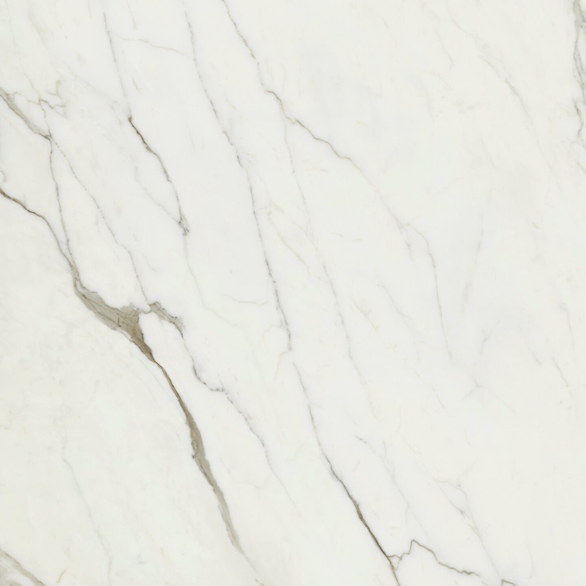 LPC Valeria lasitettu porcelanato seinälaatta lattialaatta ulkolaatta 120X120 01 Calacatta tasapintainen matta vaalea beige marmori