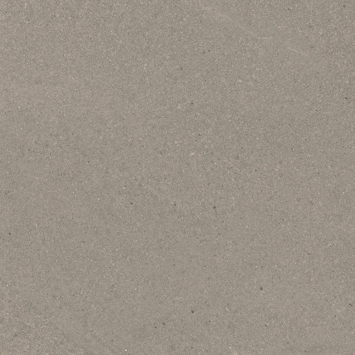 LPC Alvaro lasitettu porcelanato seinälaatta lattialaatta ulkolaatta 60X60,5 06 taupe tasapintainen matta ruskea kivi