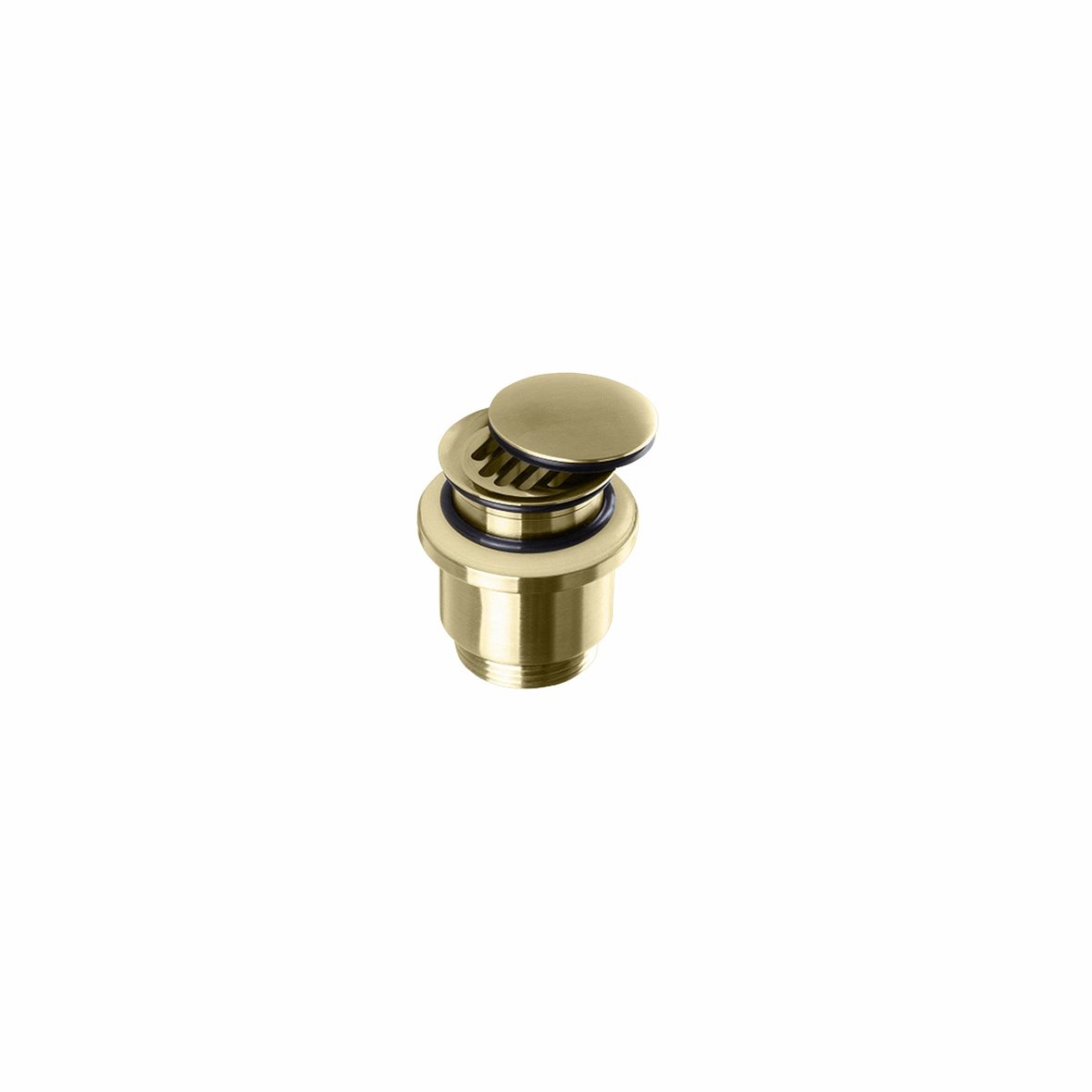 d Line Qtoo Hygiene+ pohjaventtiili irtokannella 6,2x6,8x6,2 cm haponkestävä RST AISI 316 harjattu PVD messinki
