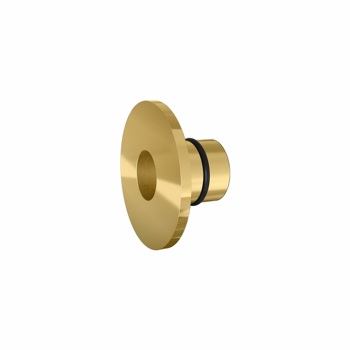 d line Qtoo vuodonilmaisimen peitelaippa haponkestävä ruostumaton teräs AISI 316 kiillotettu PVD messinki