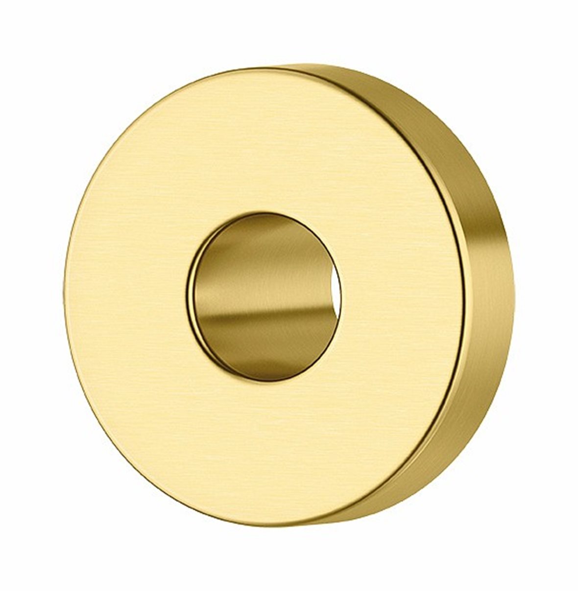 Damixa vuodonilmaisuputken peitelaippa 45x45 mm PVD harjattu messinki pyöreä