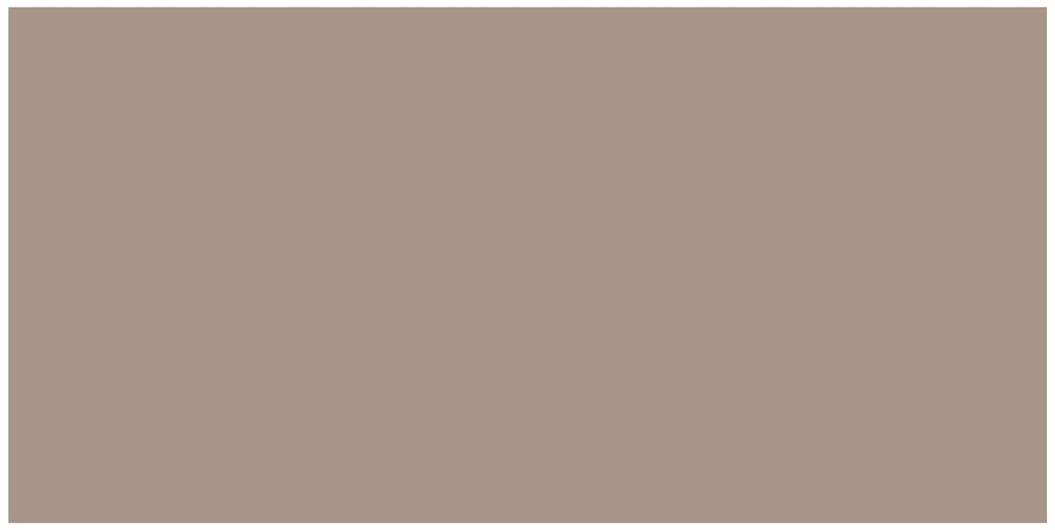 Pukkila Harmony lasitettu kaakeli seinälaatta 29,7X59,7 Taupe 50-2355 tasapintainen matta beige yksivärinen