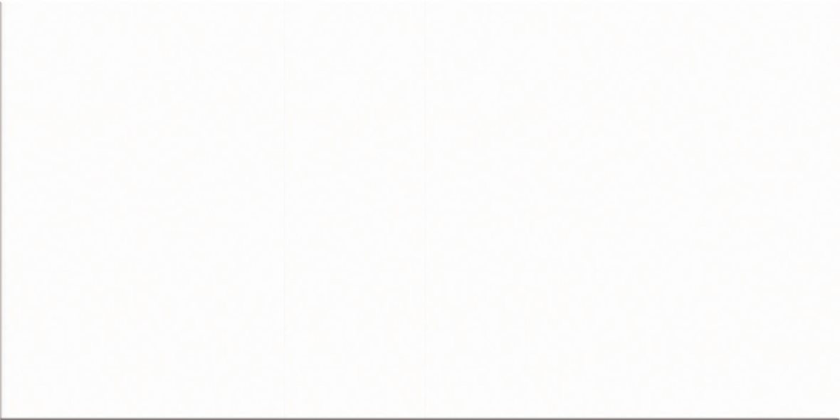 Pukkila Color lasitettu porcelanato seinälaatta lattialaatta ulkolaatta 29,7X59,7 White 5500 tasapintainen matta vaalea valkoinen yksivärinen