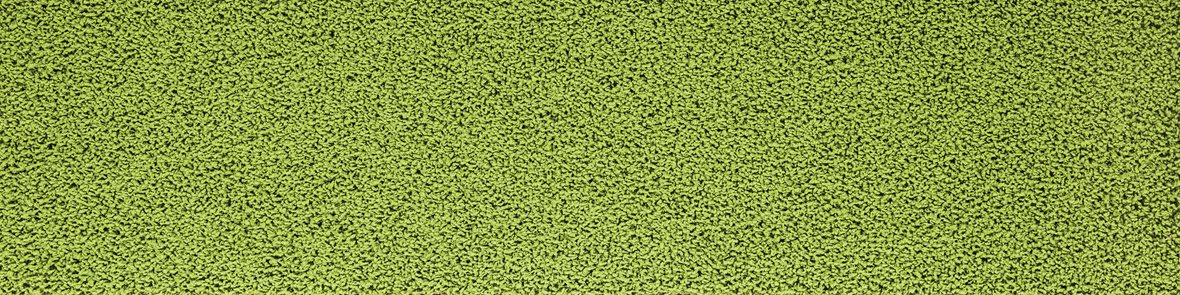 Interface Human Nature 830 tekstiililankku 7621006 Kiwi 25X100